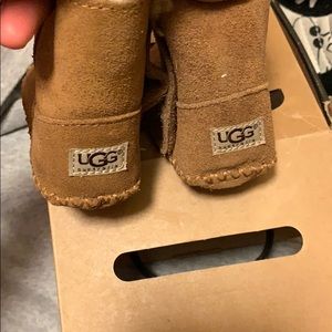 Chestnut Uggs